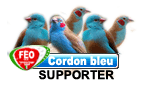 CORDON BLU
